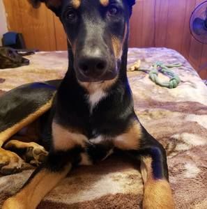 Meet your Posher, Jess